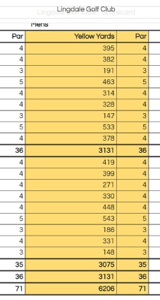 Lingdale Scorecard.pdf